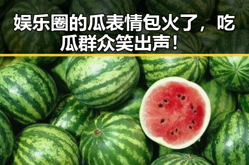 娱乐圈的瓜表情包火了，吃瓜群众笑出声！