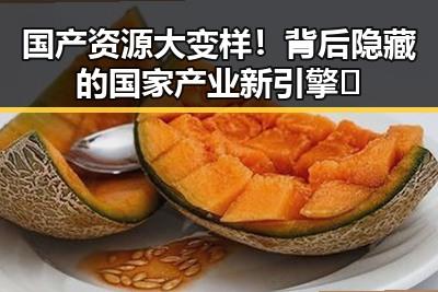 海角网——每日黑料爆料、吃瓜入口了解最新热点