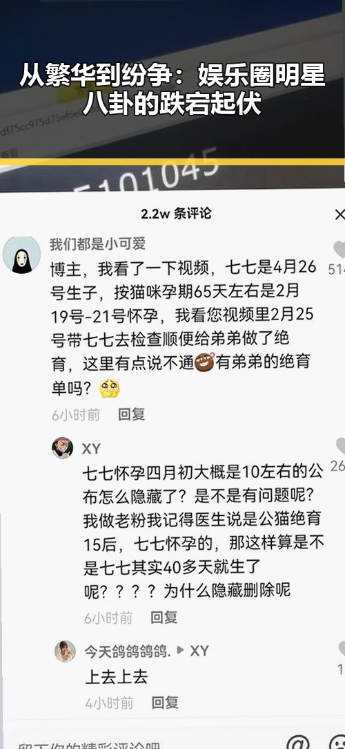 从繁华到纷争：娱乐圈明星八卦的跌宕起伏